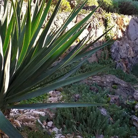 Art Amphora Studio And Guest house