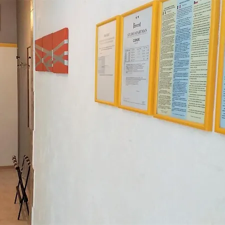 Art Amphora Studio And Rava